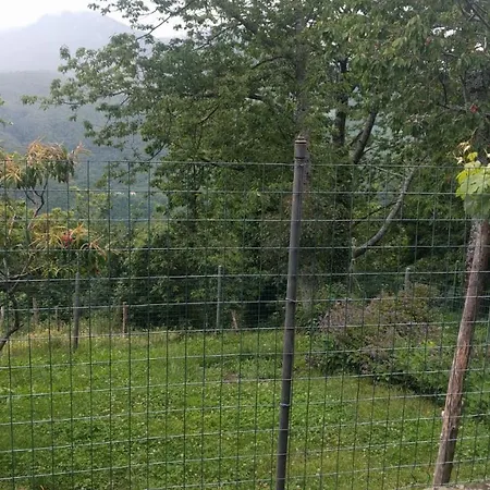 Serenella In Affitto A Lizzano Pistoiese