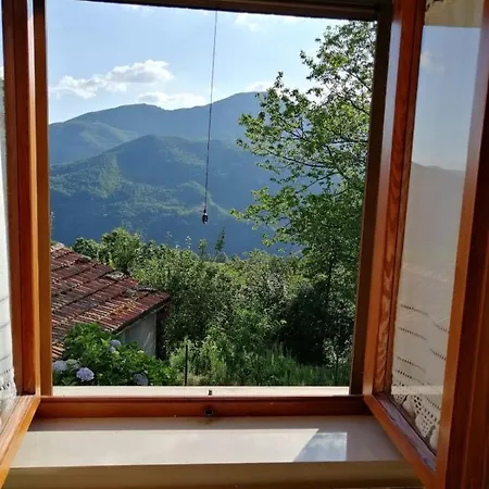 Serenella In Affitto A Lizzano Pistoiese